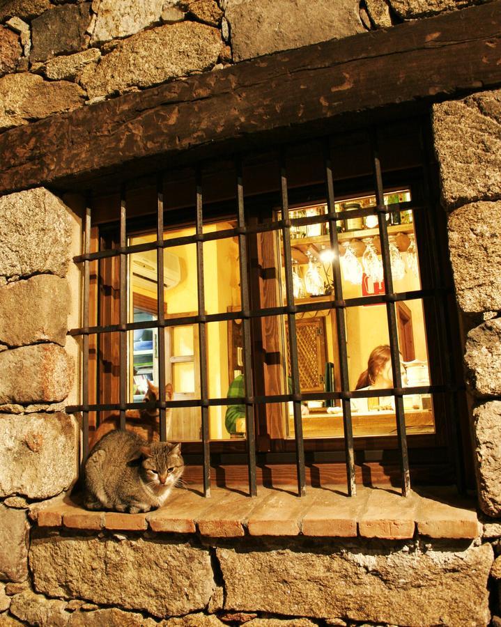 Posada La Gatera Pedro Bernardo 외부 사진